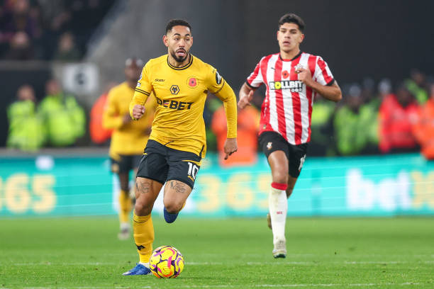 的表层特质 的表层特质