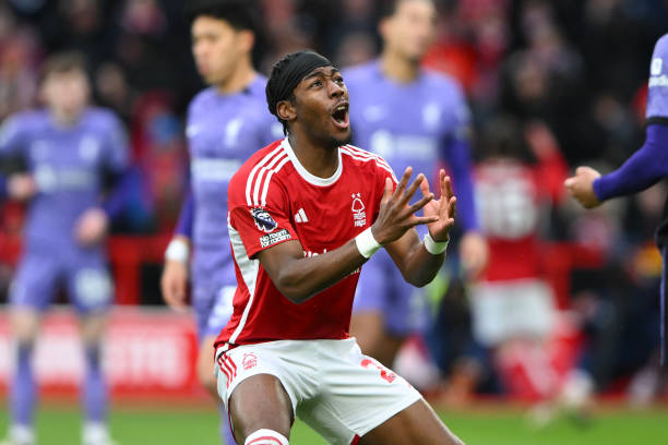 情和参与感 情和参与感